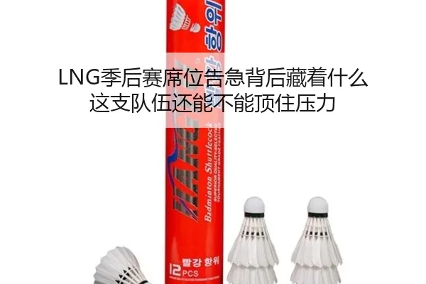 LNG季后赛席位告急背后藏着什么 这支队伍还能不能顶住压力 - kaiyundianzi